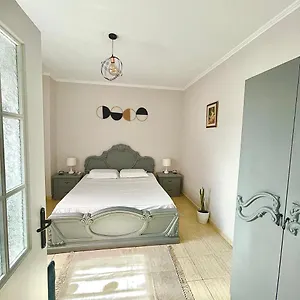Flex Tirana